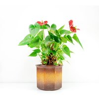Large 1970S Midcentury Wgp Ceramic Planter By Scheurich 932 18 Westgerman Pottery von VINTARAMAcom