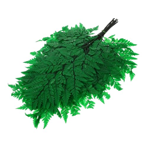 VINTORKY Bündel Getrocknete Pflanzen für Stilvolle Raumdekoration Hochzeitszubehör und DIY Projekte Pflegeleicht und Langlebig für Zuhause und Veranstaltungen VINTORKY Bündel Getrocknete Pflanzen für Stilvolle Raumdekoration Hochzeitszubehör und DIY Projekte Pflegeleicht und Langlebig für Zuhause und Veranstaltungen von VINTORKY