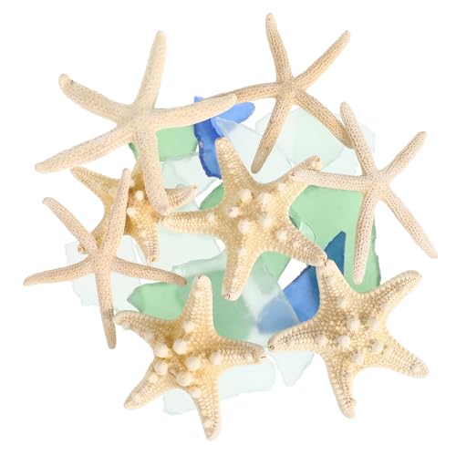 VINTORKY Meer Glas Dekorationsset mit Natürlichen Seesternen und Zerkleinertem Glas Vielseitiger Vasenfüller und Aquarium Ornament Küsteninspiriertes Nautisches für Wohn und VINTORKY Meer Glas Dekorationsset mit Natürlichen Seesternen und Zerkleinertem Glas Vielseitiger Vasenfüller und Aquarium Ornament Küsteninspiriertes Nautisches für Wohn und von VINTORKY