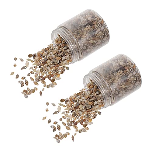 VINTORKY Seestern Deko Deko Fuellmaterial 2 Boxen Mini Handwerk Füllstoffe Kreative Natürliche Muschel Conch Epoxy DIY, Die Füllung Macht von VINTORKY