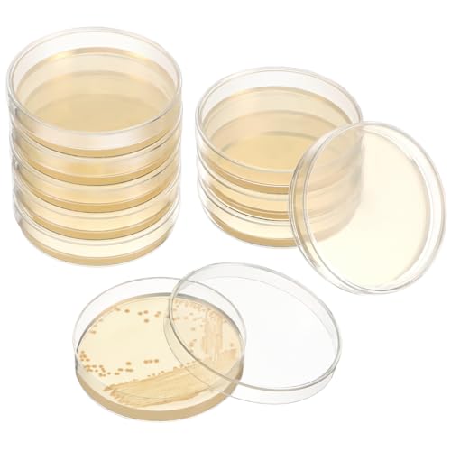 VINTORKY 20stücke Vorgegossene Agarplatten Für Mikrobiologie Und Laborversuche Praktische Petrischalen Für Wissenschaftsexperimente VINTORKY 20stücke Vorgegossene Agarplatten Für Mikrobiologie Und Laborversuche Praktische Petrischalen Für Wissenschaftsexperimente von VINTORKY