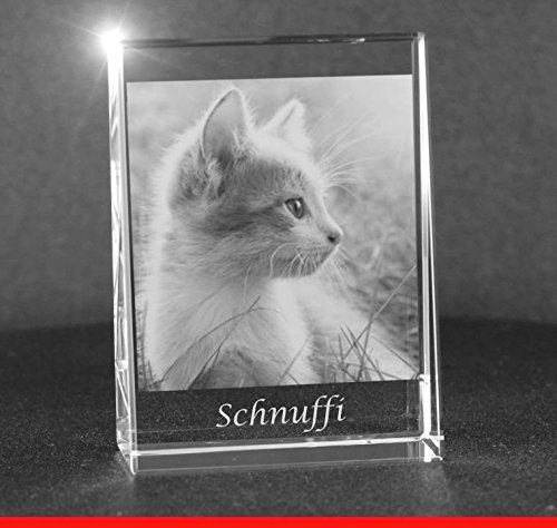 VIP-LASER 2D Gravur Glas Kristall Flachglas selbststehend Hochformat mit dem Foto Deiner Katze. Dein Wunschfoto für die Ewigkeit Mitten in Glas! Groesse L = 80x60x24mm von VIP-LASER