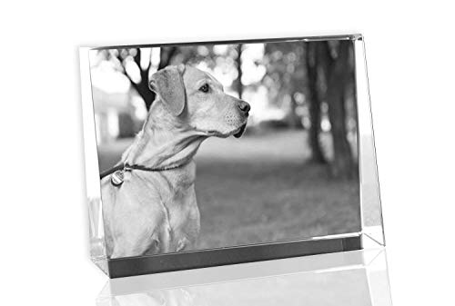 VIP-LASER 2D GRAVUR Glas Kristall Flachglas selbststehend Querformat mit Deinem Hundefoto Hund. Dein Wunschfoto für die Ewigkeit mitten in Glas! Groesse L = 80x60x24mm von VIP-LASER