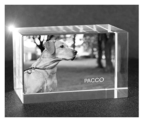 VIP-LASER 2D Gravur Glas Kristall Quader im Querformat L mit dem Foto von Deinem Hund. Dein Wunschfoto für die Ewigkeit Mitten in Glas! Groesse L = 60x40x40mm von VIP-LASER