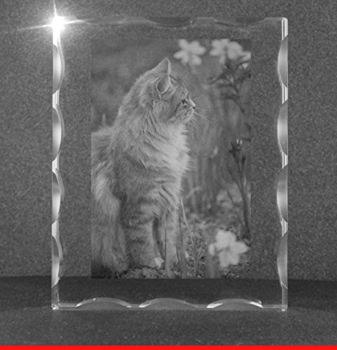 VIP-LASER 2D Gravur Glas Kristall Facettierte Scheibe im Hochformat XL mit dem Foto Deiner Katze. Dein Wunschfoto für die Ewigkeit Mitten in Glas! Groesse XL = 100x80x20mm von VIP-LASER