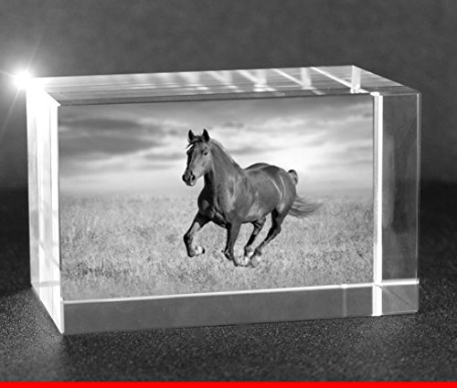VIP-LASER 2D Gravur Glas Kristall Quader im Querformat L mit dem Foto von Deinem Pferd. Dein Wunschfoto für die Ewigkeit Mitten in Glas! Groesse L = 60x40x40mm von VIP-LASER