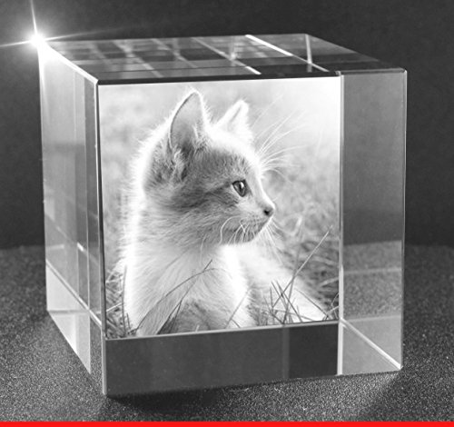 VIP-LASER 2D Gravur Glas Kristall Würfel mit Deinem Katzenfoto Katze. Dein Wunschfoto für die Ewigkeit Mitten in Glas! Groesse XL = 60x60x60mm von VIP-LASER