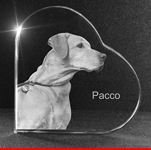 VIP-LASER 2D Gravur Glasherz XXL mit Deinem Hundefoto Hund graviert!. Dein Wunschfoto für die Ewigkeit Mitten in Glas! Groesse XXL = 105x105x19mm VIP-LASER 2D Gravur Glasherz XXL mit Deinem Hundefoto Hund graviert!. Dein Wunschfoto für die Ewigkeit Mitten in Glas! Groesse XXL = 105x105x19mm von VIP-LASER