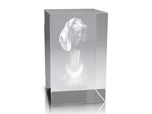 VIP-LASER 3D Glas Kristall Quader XL Hund Weimaraner graviert Mitten in einem Glaskristall von VIP-LASER