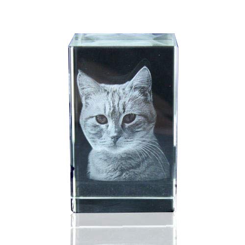 VIP-LASER 3D Glaskristall Größe L graviert mit dem Foto Ihrer Katze von VIP-LASER