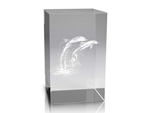 VIP-LASER 3D Glaskristall Quader XL mit Zwei Delfinen/Delphinen - für die Ewigkeit in Glas graviert! von VIP-LASER