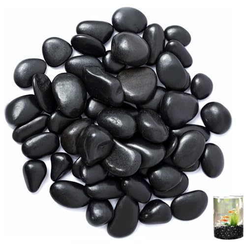 VIQIHEOE Kieselsteine, 1-3 cm Schwarz Polierte Flusssteine, 1kg Polierte Schwarze Kieselsteine, Dekorative Flusssteine, Zierkies für Vasen, für Landschaftsbau, Heimdekoration, Handwerk, Kunstprojekte von VIQIHEOE