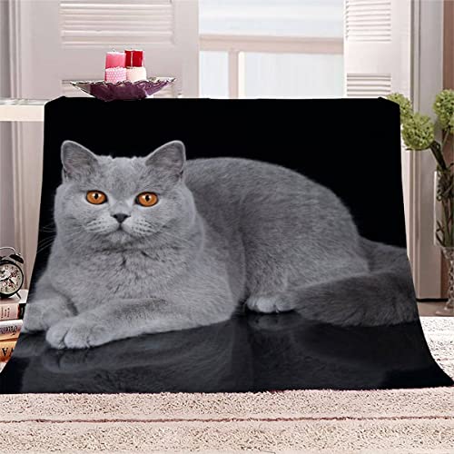 Kuscheldecke bettüberwurf wohndecke Britische Katze 3D Effekt Extra Weich Flanelldecke TV Decke 130x150 Schwarze Süße Katze Waschbar Sofadecke Wohnzimmerdecke Couchdecke mit Muster für Teenager von VIROGE