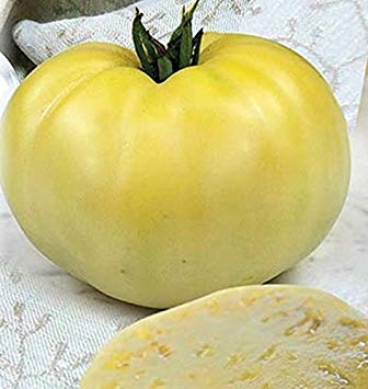 VISA STORE 2 g / 40 Samen von Tomate Belaya Vishnya von Astonish