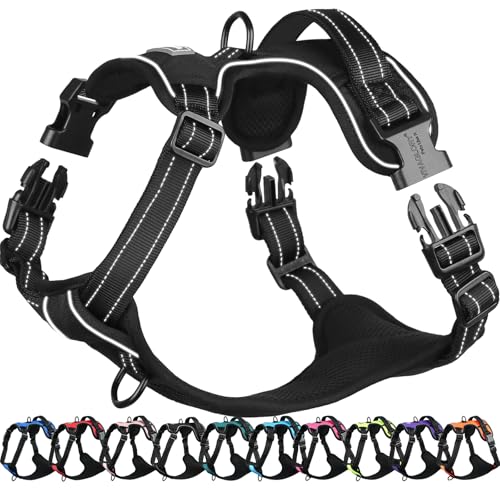 VIVAGLORY Easefit Hundegeschirr, Zugstopp Hundegeschirr Geschirr Hund Mit Griff, Anti Zieh Geschirr Für Hunde Training & Spazieren, Gepolstert & No-Pull Ausbruchsicher für Hunde, M, Schwarz VIVAGLORY Easefit Hundegeschirr, Zugstopp Hundegeschirr Geschirr Hund Mit Griff, Anti Zieh Geschirr Für Hunde Training & Spazieren, Gepolstert & No-Pull Ausbruchsicher für Hunde, M, Schwarz von VIVAGLORY