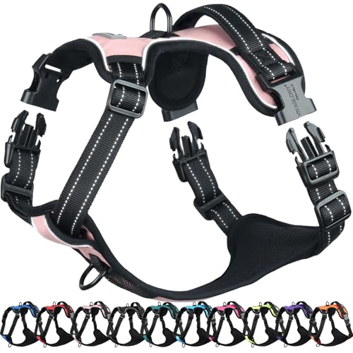 VIVAGLORY Easefit Hundegeschirr, Zugstopp Hundegeschirr Geschirr Hund Mit Griff, Anti Zieh Geschirr Für Hunde Training & Spazieren, Gepolstert & No-Pull Ausbruchsicher für Hunde, XS, Sakura-Rosa VIVAGLORY Easefit Hundegeschirr, Zugstopp Hundegeschirr Geschirr Hund Mit Griff, Anti Zieh Geschirr Für Hunde Training & Spazieren, Gepolstert & No-Pull Ausbruchsicher für Hunde, XS, Sakura-Rosa von VIVAGLORY