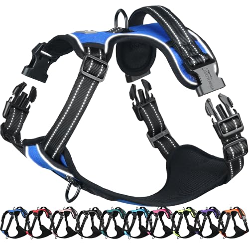 VIVAGLORY Easefit Hundegeschirr, Zugstopp Hundegeschirr Geschirr Hund Mit Griff, Anti Zieh Geschirr Für Hunde Training & Spazieren, Gepolstert & No-Pull Ausbruchsicher für Hunde, XL, Königsblau von VIVAGLORY