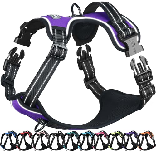 VIVAGLORY Easefit Hundegeschirr, Zugstopp Hundegeschirr Geschirr Hund Mit Griff, Anti Zieh Geschirr Für Hunde Training & Spazieren, Gepolstert & No-Pull Ausbruchsicher für Hunde, XS, Lila VIVAGLORY Easefit Hundegeschirr, Zugstopp Hundegeschirr Geschirr Hund Mit Griff, Anti Zieh Geschirr Für Hunde Training & Spazieren, Gepolstert & No-Pull Ausbruchsicher für Hunde, XS, Lila von VIVAGLORY