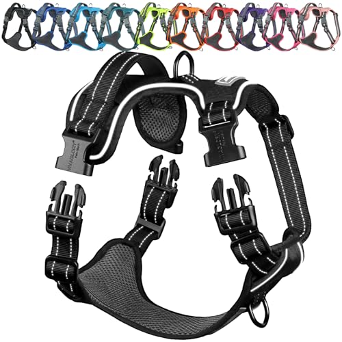 VIVAGLORY Easewalk Hundegeschirr, Anti Zug Hundegeschirr für Training & Spazieren, Anti Zieh Geschirr Welpengeschirr Mit Griff, Ausbruchsicher & Non-Stop Anti-Zug für Welpe Hunde, XS, Schwarz VIVAGLORY Easewalk Hundegeschirr, Anti Zug Hundegeschirr für Training & Spazieren, Anti Zieh Geschirr Welpengeschirr Mit Griff, Ausbruchsicher & Non-Stop Anti-Zug für Welpe Hunde, XS, Schwarz von VIVAGLORY