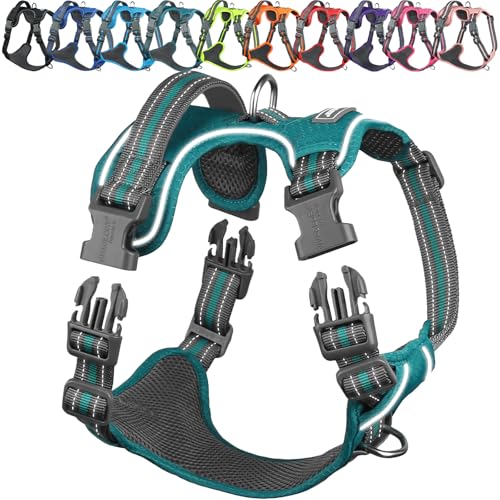 VIVAGLORY Easewalk Hundegeschirr, Anti Zug Hundegeschirr für Training & Spazieren, Anti Zieh Geschirr Welpengeschirr Mit Griff, Ausbruchsicher & Non-Stop Anti-Zug für Welpe Hunde, XL, Pfauengrün von VIVAGLORY