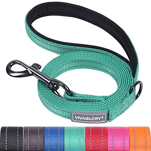 VIVAGLORY Hundeleine, Hundeleine für Spaziergänge mit Bequemer Neopren Gepolsterter Griff, Schwerlast Trainingsleine für Kleine bis Mittlere Hunde von VIVAGLORY