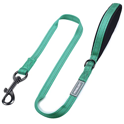 VIVAGLORY Hundeleine, Hundeleine für Spaziergänge mit Bequemer Neopren Gepolsterter Griff, Schwerlast Trainingsleine für Kleine bis Mittlere Hunde von VIVAGLORY