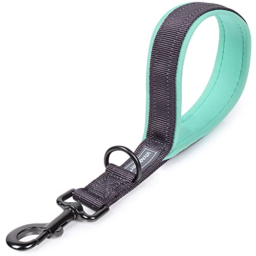 VIVAGLORY Hundeleine Kurz, Kurze Verkehrsleine für Hunde, Kurze Trainingsleine für Mittelgroße und Große Hunde, 32 cm Länge 2,5 cm Breite, Grau von VIVAGLORY