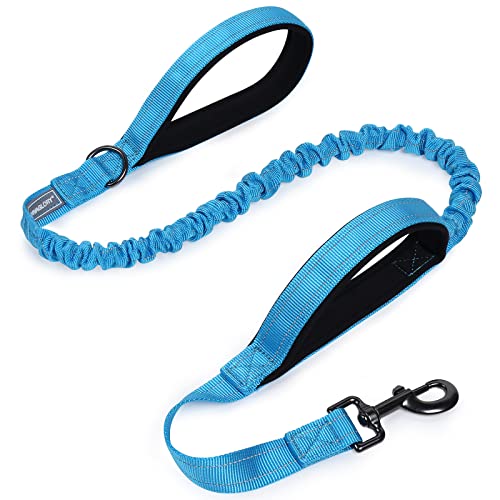VIVAGLORY Hundeleine Pullsafe Bungee Leine Hund, Führleine Hundeleine mit Doppelgriff & Zwei Griffen für Hausleine Joggingleine, Bungee & Stark Ziehende für Hunde, 120 x 2.5cm, Blau von VIVAGLORY