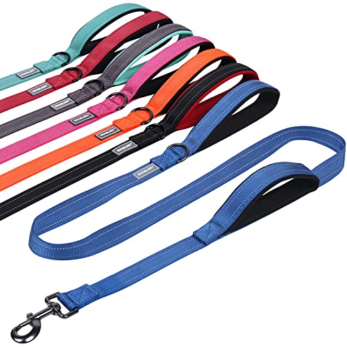 VIVAGLORY Hundeleine mit Zwei Griffen, fr Training und Spazierengehen, mit Griff fr den Verkehr, reflektierende Sicherheit, Bequeme Hund Leine, 1.5 m x 2.5 cm, Blau von VIVAGLORY