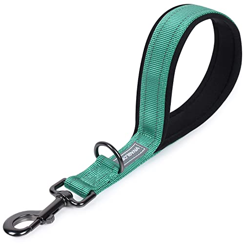 VIVAGLORY Hundeleine Kurz, Kurze Verkehrsleine für Hunde, Kurze Trainingsleine für Mittelgroße und Große Hunde, 32cm Länge 2,5cm Breite, Grün von VIVAGLORY