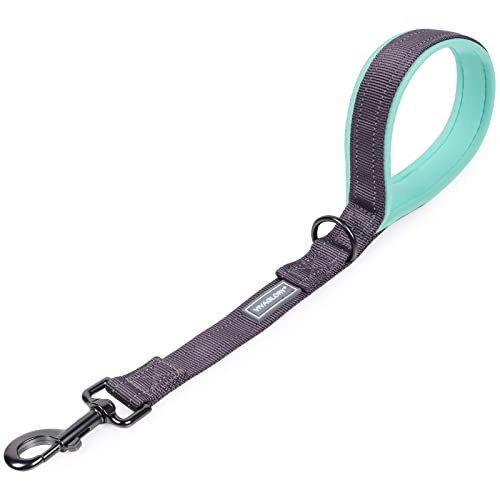 VIVAGLORY Kurzführer Hund Hundeleine Kurz Kurze Leine Hund Nylonleine Hundeleine Mittelgroße Große Hunde Kurzführer Hund Metallclip Hundeleine mit Kurzführer, 46 cm Länge 2,5 cm Breite, Dunkelgrau VIVAGLORY Kurzführer Hund Hundeleine Kurz Kurze Leine Hund Nylonleine Hundeleine Mittelgroße Große Hunde Kurzführer Hund Metallclip Hundeleine mit Kurzführer, 46 cm Länge 2,5 cm Breite, Dunkelgrau von VIVAGLORY