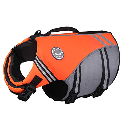 VIVAGLORY Sports Style Schwimmweste Hund, Hundeschwimmweste für Bootfahren, Auftrieb & Schwimmhilfe, Schwimmweste, M, Neon-Orange VIVAGLORY Sports Style Schwimmweste Hund, Hundeschwimmweste für Bootfahren, Auftrieb & Schwimmhilfe, Schwimmweste, M, Neon-Orange von VIVAGLORY