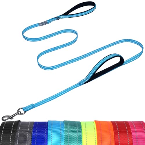 VIVAGLORY Twingrip Führleine Hund, Leine Hund Hausleine Joggingleine, Hundeleine mit 2 Griffen Doppelgriff, Gepolstert Neopren & Reflektierend, 1.2m x 1.4cm, Blauer See von VIVAGLORY