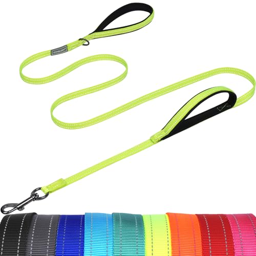VIVAGLORY Twingrip Führleine Hund, Leine Hund Hausleine Joggingleine, Hundeleine mit 2 Griffen Doppelgriff, Gepolstert Neopren & Reflektierend, 1.8m x 1.4cm, Helles Gelb von VIVAGLORY