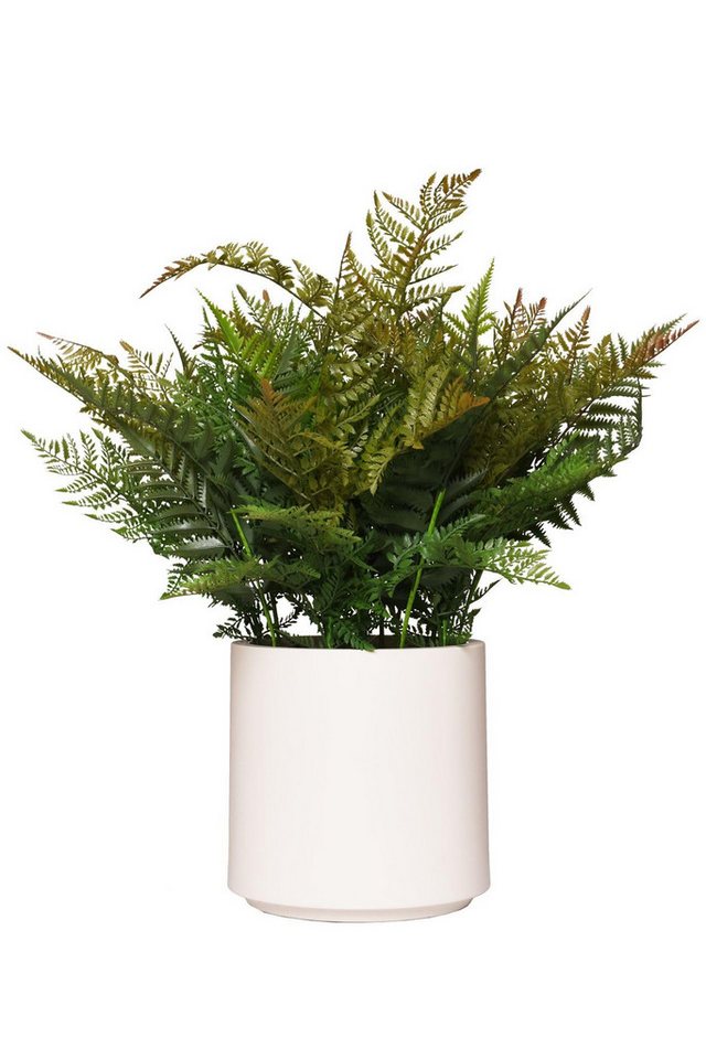 Kunstpflanze Farn Kunstpflanze Kunstfarn Topfpflanze FILIX mit Topf - 60x75 cm, VIVANNO, Höhe 75 cm von VIVANNO