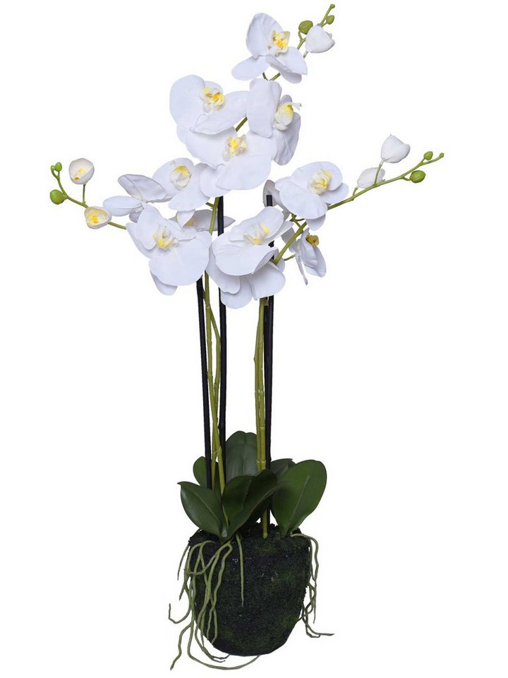 Kunstpflanze Kunststoff ORCHIDELIS - Weiß, VIVANNO, Höhe 87 cm, 50x87 cm Kunstpflanze Kunststoff ORCHIDELIS - Weiß, VIVANNO, Höhe 87 cm, 50x87 cm von VIVANNO
