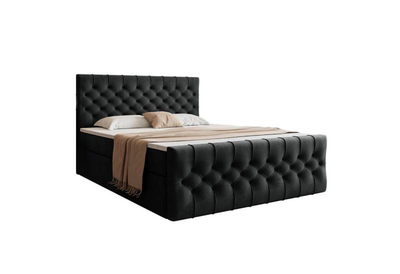 VIVENTE Möbel Boxspringbett OXFORD eleganter Samt Bezugstoff MAGIC VELVET Chesterfield Steppung (Breiten 120/140/160/180/200 cm), Polsterbett mit Bettkasten und Topper von VIVENTE Möbel