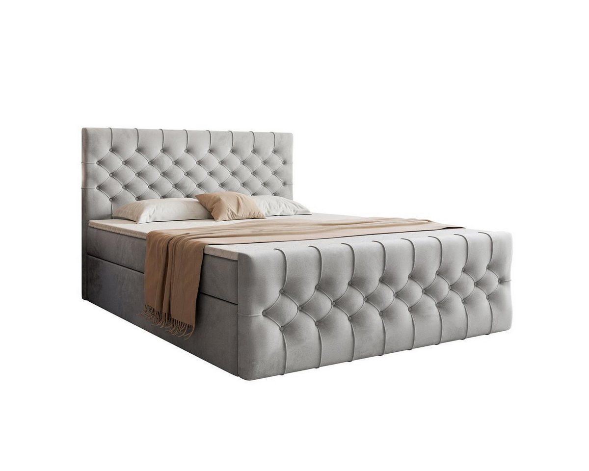 VIVENTE Möbel Polsterbett OXFORD eleganter Samt Bezugstoff MAGIC VELVET Chesterfield Steppung, mit großem Bettkasten in versch. Breiten und Farben VIVENTE Möbel Polsterbett OXFORD eleganter Samt Bezugstoff MAGIC VELVET Chesterfield Steppung, mit großem Bettkasten in versch. Breiten und Farben von VIVENTE Möbel