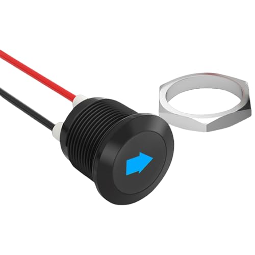 VIVIWI Autoblinker Licht Einzelpfeile Symbole Auto Armaturenbrett Licht LED Auto Blinker Blinker Licht mit Draht Leitungen Enduri von VIVIWI