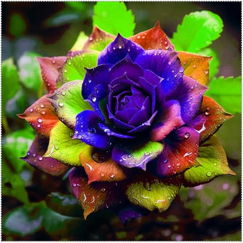 Einfach zu Pflegen,Schnelles Wachstum-mit Auffälligen Blüten,Wunderschön,Dahlien mehrjährig winterhart.-6Dahlien rhizome-C von VJIDOSO