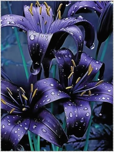 Lilium knollen mix,mehrjährig winterhart,Anmut,Lilien pflanzen im topf,Lilien winterhart,Dekorative,Ausgezeichnete Verzierung.-2 zwiebeln-B Lilium knollen mix,mehrjährig winterhart,Anmut,Lilien pflanzen im topf,Lilien winterhart,Dekorative,Ausgezeichnete Verzierung.-2 zwiebeln-B von VJIDOSO