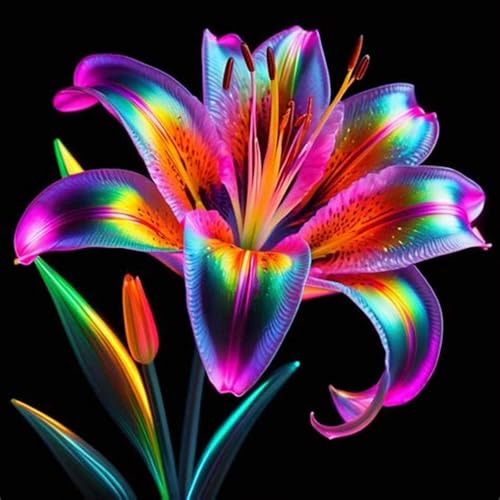 Lilium knollen mix,mehrjährig winterhart,Anmut,Lilien pflanzen im topf,Lilien winterhart,Dekorative,Lilium,Ausgezeichnete Verzierung.-2 zwiebeln-B Lilium knollen mix,mehrjährig winterhart,Anmut,Lilien pflanzen im topf,Lilien winterhart,Dekorative,Lilium,Ausgezeichnete Verzierung.-2 zwiebeln-B von VJIDOSO