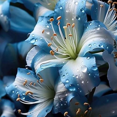 Lilium knollen zwiebeln mix,blumenzwiebeln mehrjährig winterhart,Anmut,lilien im topf,lilien zwiebeln winterhart,dekorative,Ausgezeichnete Verzierung.-8 zwiebeln-I von VJIDOSO