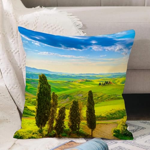 VJIZLOQB Kissenbezug 30x30cm Dekokissen Polyester Sofakissen,Kissenbezüge,für Sofa Schlafzimmer Wohnzimmer Outdoor Kissenhülle,Natur, ländlicher Sonnenuntergang in Italien Landschaft mit Bäumen fri VJIZLOQB Kissenbezug 30x30cm Dekokissen Polyester Sofakissen,Kissenbezüge,für Sofa Schlafzimmer Wohnzimmer Outdoor Kissenhülle,Natur, ländlicher Sonnenuntergang in Italien Landschaft mit Bäumen fri von VJIZLOQB