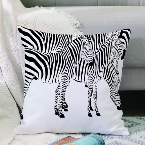 VJIZLOQB Kissenbezug 30x30cm Dekokissen Polyester Sofakissen,Kissenbezüge,für Sofa Schlafzimmer Wohnzimmer Outdoor Kissenhülle,Safari, Zebra afrikanische Tiere Hautdruck mit VJIZLOQB Kissenbezug 30x30cm Dekokissen Polyester Sofakissen,Kissenbezüge,für Sofa Schlafzimmer Wohnzimmer Outdoor Kissenhülle,Safari, Zebra afrikanische Tiere Hautdruck mit von VJIZLOQB