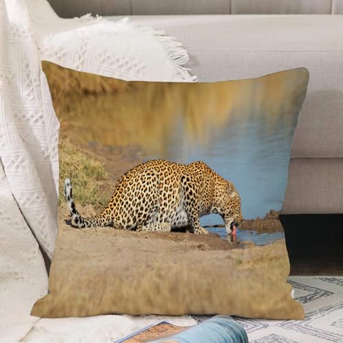 VJIZLOQB Kissenbezug 30x30cm Dekokissen Polyester Sofakissen,Kissenbezüge,für Sofa Schlafzimmer Wohnzimmer Outdoor Kissenhülle,Safari-Dekor, Leopard Panther Trinken am Waterhole Safari Wild VJIZLOQB Kissenbezug 30x30cm Dekokissen Polyester Sofakissen,Kissenbezüge,für Sofa Schlafzimmer Wohnzimmer Outdoor Kissenhülle,Safari-Dekor, Leopard Panther Trinken am Waterhole Safari Wild von VJIZLOQB