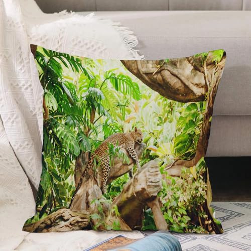 VJIZLOQB Kissenbezug 30x30cm Dekokissen Polyester Sofakissen,Kissenbezüge,für Sofa Schlafzimmer Wohnzimmer Outdoor Kissenhülle,Safari-Set, Leopard auf dem AST in exotischer Savanne, Makro, tropisch VJIZLOQB Kissenbezug 30x30cm Dekokissen Polyester Sofakissen,Kissenbezüge,für Sofa Schlafzimmer Wohnzimmer Outdoor Kissenhülle,Safari-Set, Leopard auf dem AST in exotischer Savanne, Makro, tropisch von VJIZLOQB