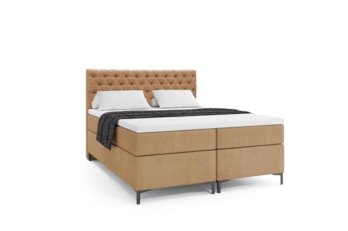 VLR BEDS Boxspringbett mit Bettkasten Chesterfield Plus (Dunkelbeige, 140 x 200 cm) von VLR BEDS