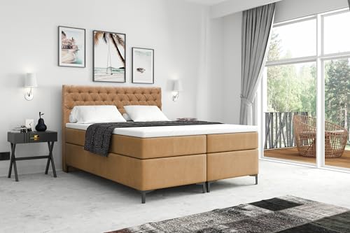 VLR BEDS Boxspringbett mit Bettkasten Chesterfield Plus (Dunkelbeige, 160 x 200 cm) von VLR BEDS