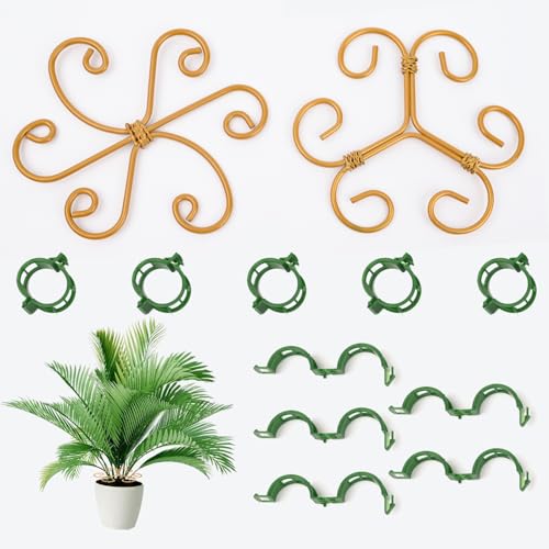 VLYX 2er-Set Pflanzenstütze für Monstera mit 10 Clips | Robuste Stammstütze | Gartenzubehör für gesundes Wachstum im Innenbereich von VLYX